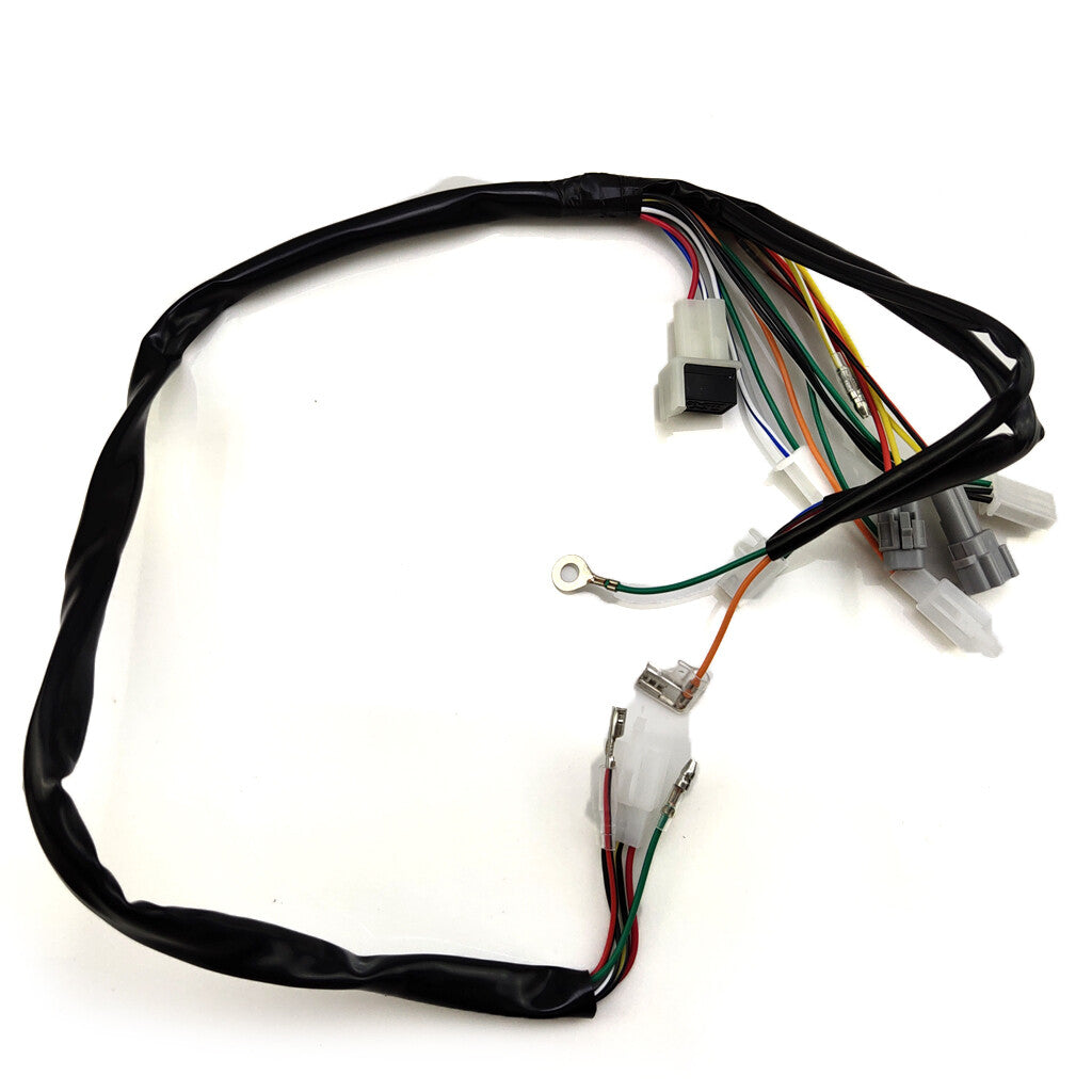 Magneto Stator Wiring Harness CDI Unit Lgnition Unit for Yamaha PW50 Y-Zinger
