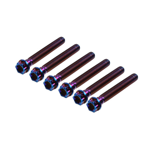 6pcs Bolts Torx Head Flange Screws M8x55mm BurnBlue For Motorcycle Bike