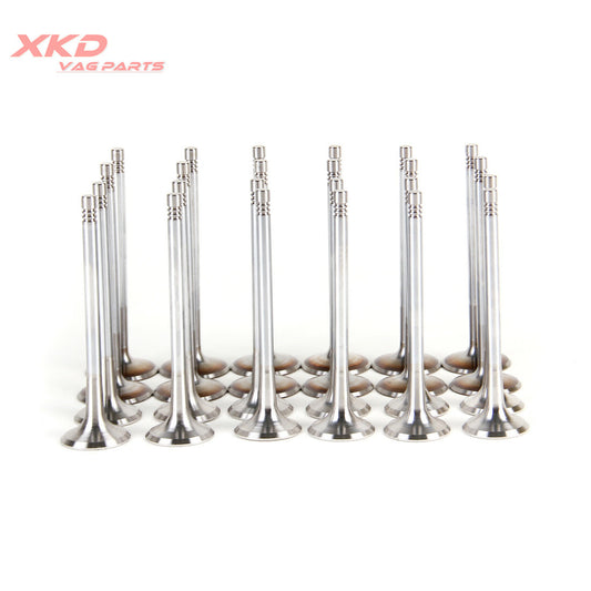 Engine exhaust and intake valves are suitable for Audi A6/quattro 05-08 2.4L 06D109611K