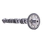 New Exhaust Camshaft Outlet Cam for Audi A4 B8 A5 A6 Q5 TT CAEA CAEB CDNB 2.0 T