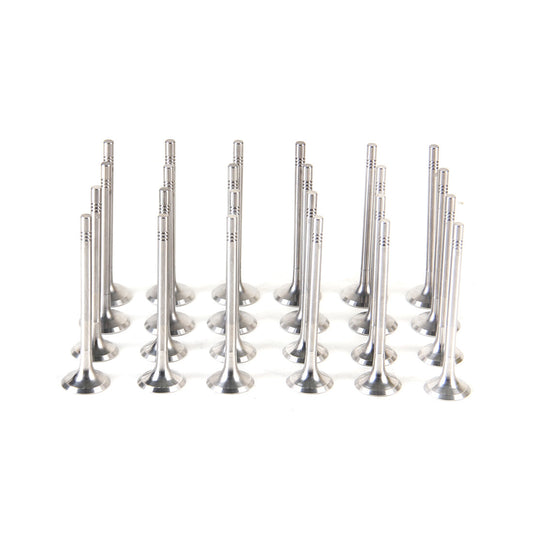 3.0TDI Intake and Exhaust Valve Kit for Volkswagen Phaeton Touareg CARA CEXA CASA CATA