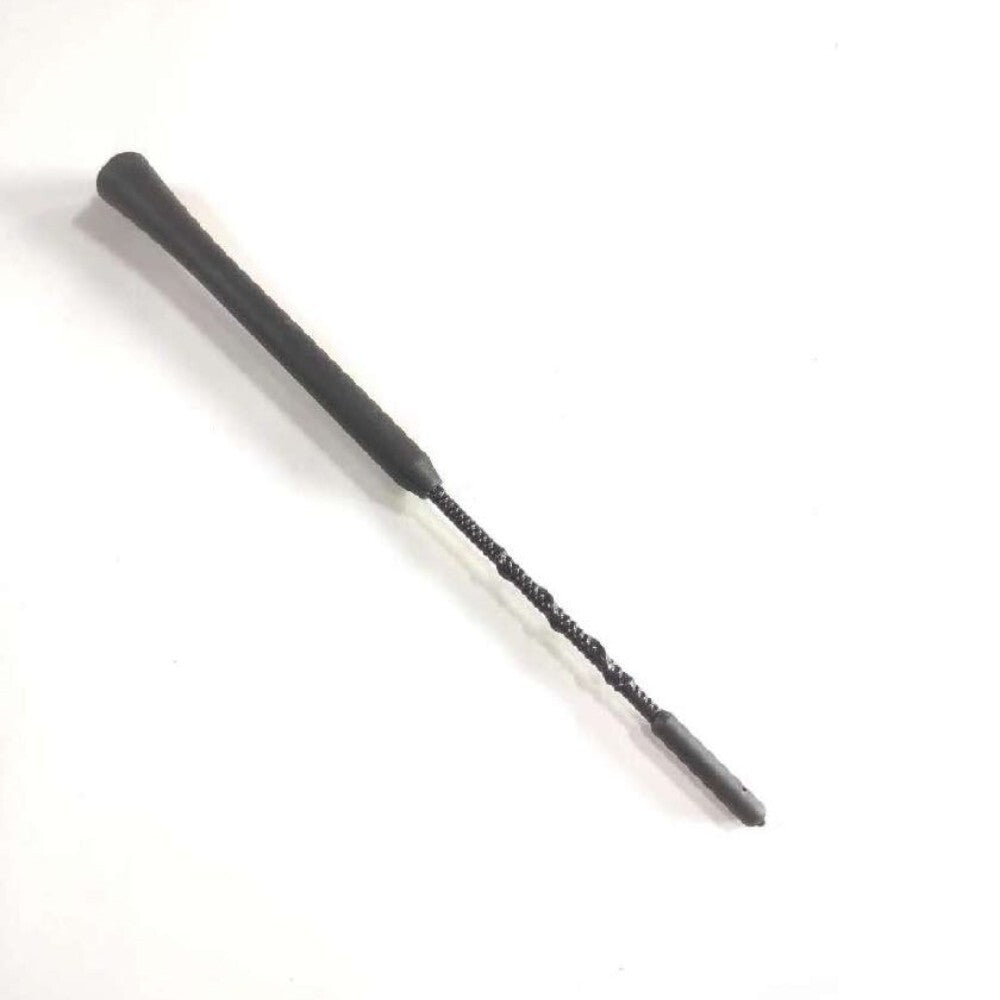 Radio Antenna Mast Aerial AM/FM for 2007-19 for Ford Focus Explorer for Lincoln MKT MKX
