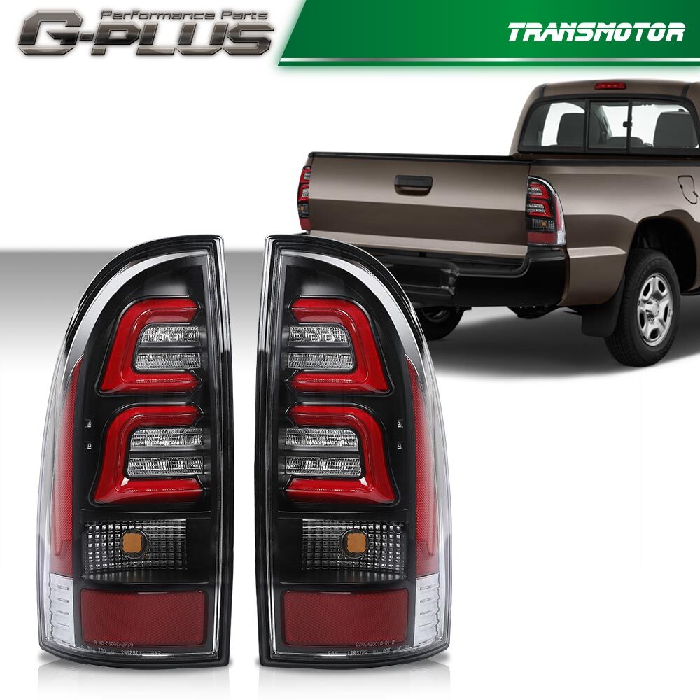 2005-2015 Paddy Field LED Lighting + Mouth