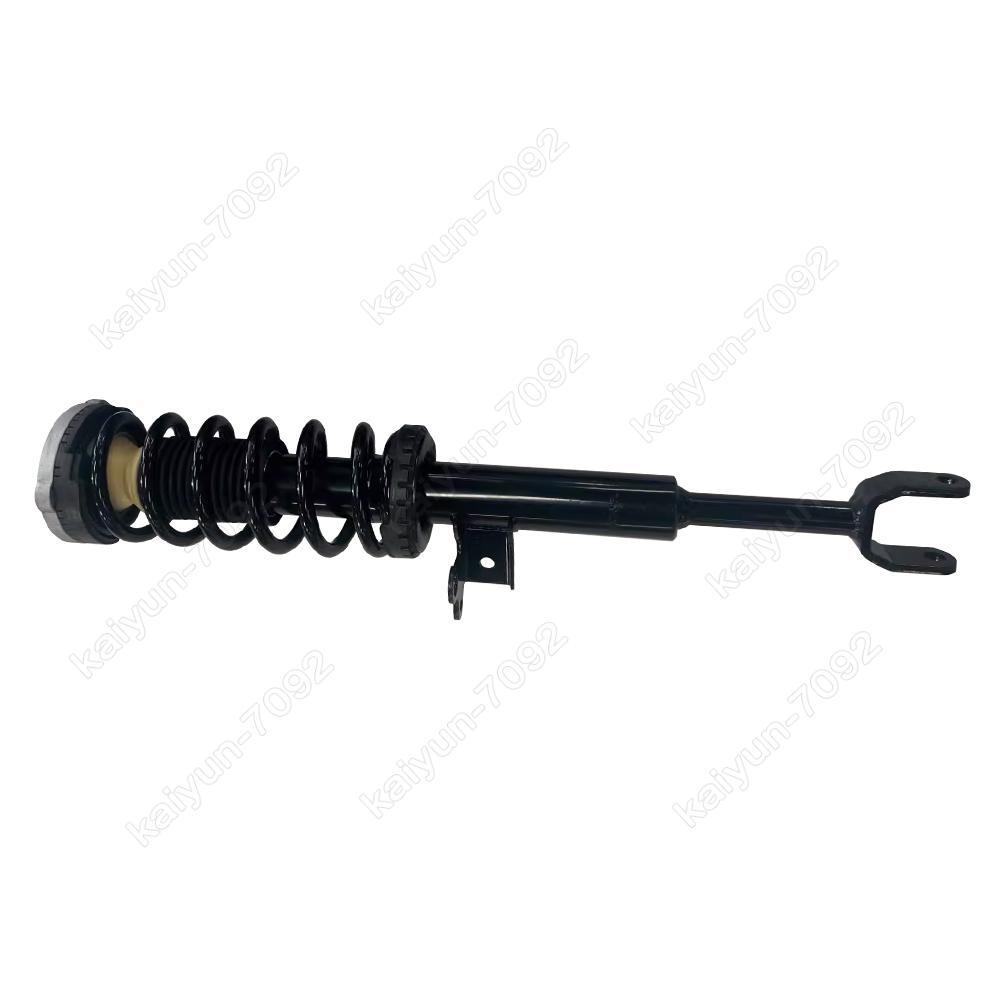 Front Left Right Shock Strut Assy for BMW F07 530i 535i 540i 550i GT RWD 10-17